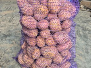 Hola. Vendo patatas muy sabrosas de las variedades Balana