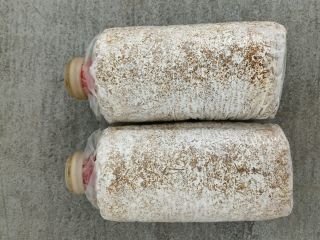 Vendo/importo sustrato de China para el cultivo de setas