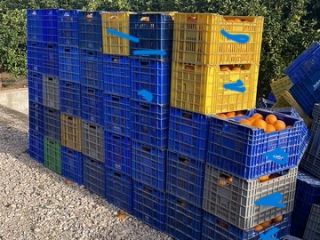 VENDO MAS DE 25.000KG DE NAVELINAS DE LA COMUNIDAD