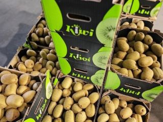 Kiwi griego prémium: fresco, certificado y asequible
