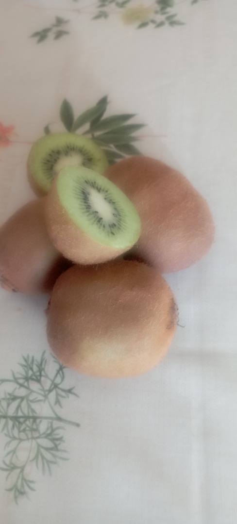 Kiwi verde ecológico, muy dulce , totalmente libre de pesticidas de tamaño mediano, calibre 6'5 cm de largo por 4' 5 de ancho