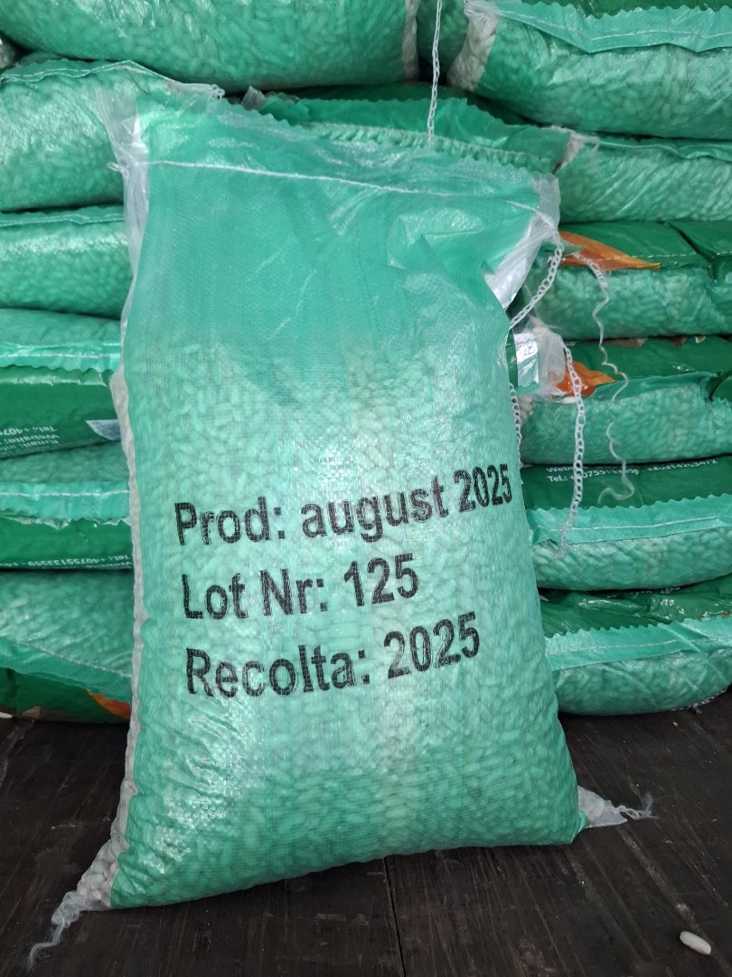 Judías blancas, saco de 10 kg, calidad A, origen Egipto, producción 2025