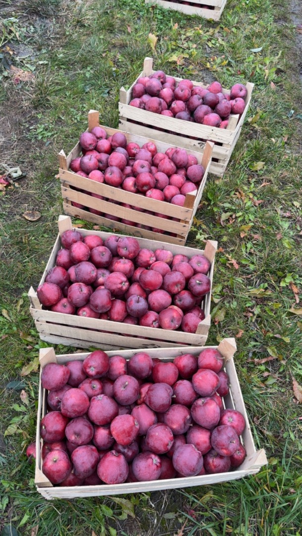 Somos proveedores de confianza de frutas y verduras frescas en Moldavia