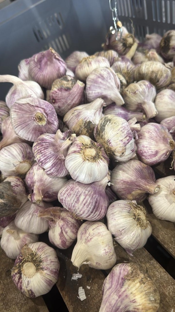 Vendemos ajo morado fresco de alta calidad, recién producido en Argentina