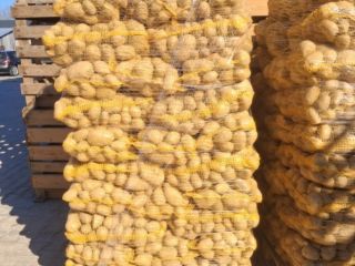 Papas amarillas en venta, más de 50 calorías, en
