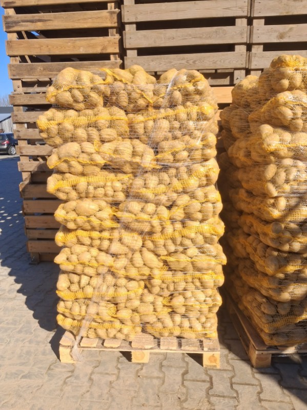 Papas amarillas en venta, más de 50 calorías, en cantidades de camión