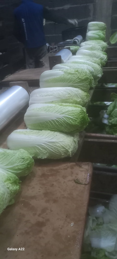 Vendo col china, 0,5-1,8 kg, refrigerada