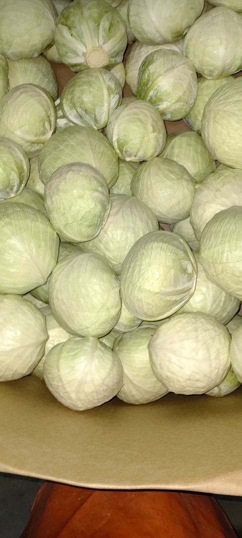 Venta de repollo blanco y morado