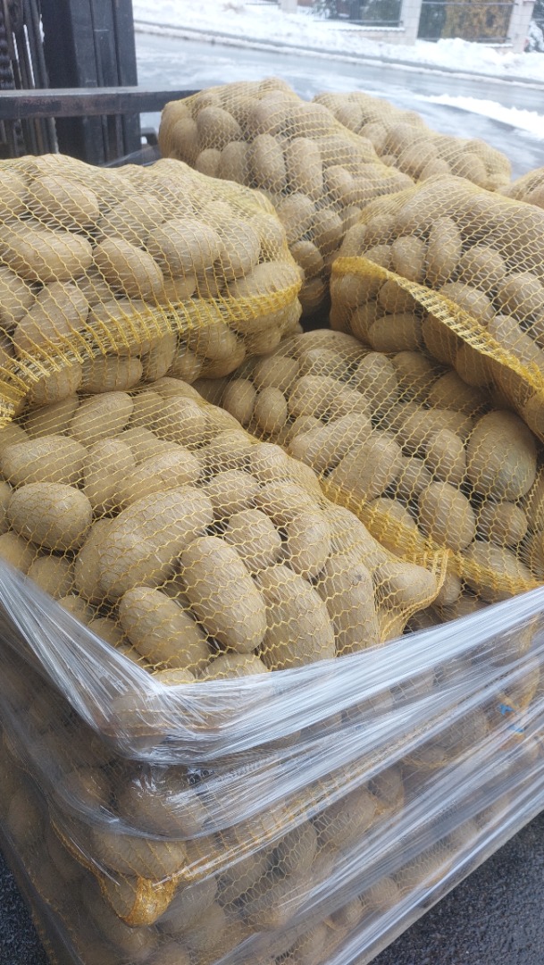 Vendo papas Soraya, a partir de 45 mm, un producto hermoso, sano y limpio, elaborado con tierra ligera