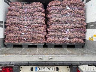 Vendo papas comestibles con análisis fitopatológicos. Cantidades por camión.