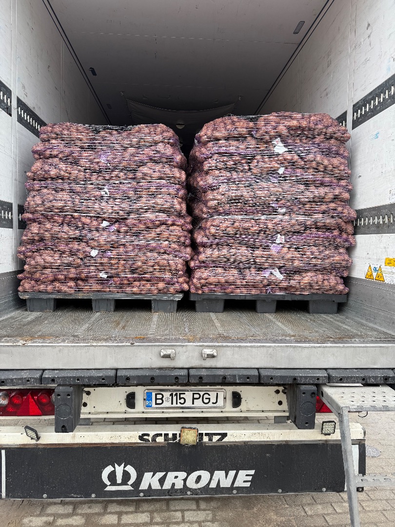 Vendo papas comestibles con análisis fitopatológicos