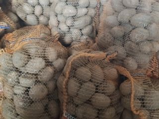 Tengo papas wineta y jolly en venta, las recomiendo