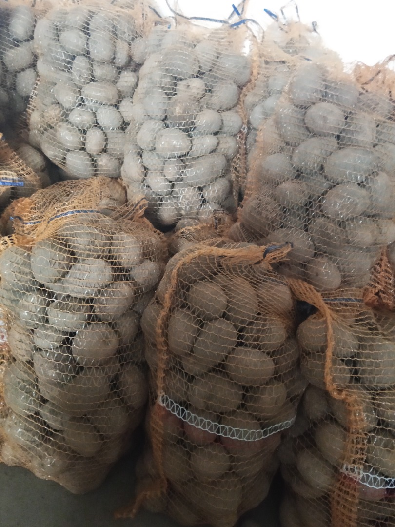 Tengo papas wineta y jolly en venta, las recomiendo