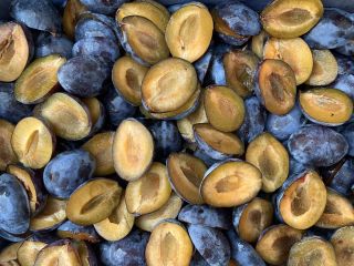 Mitades de ciruelas congeladas IQF para procesamiento industrial y