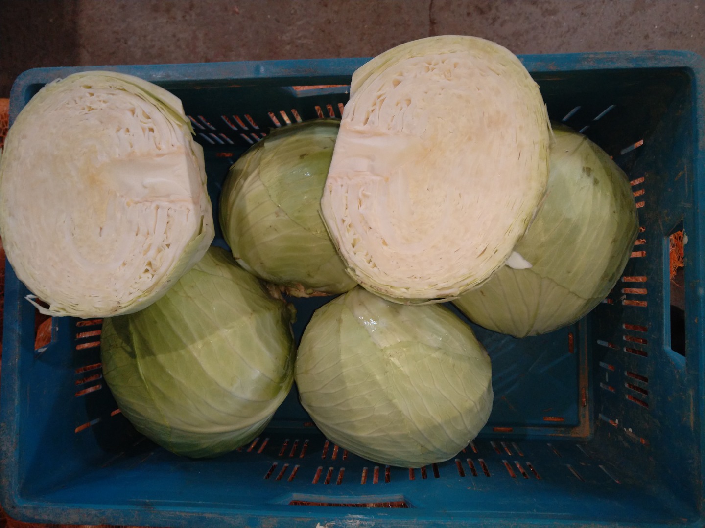Vendo col blanca variedad Ancoma cabeza 2-4 kg