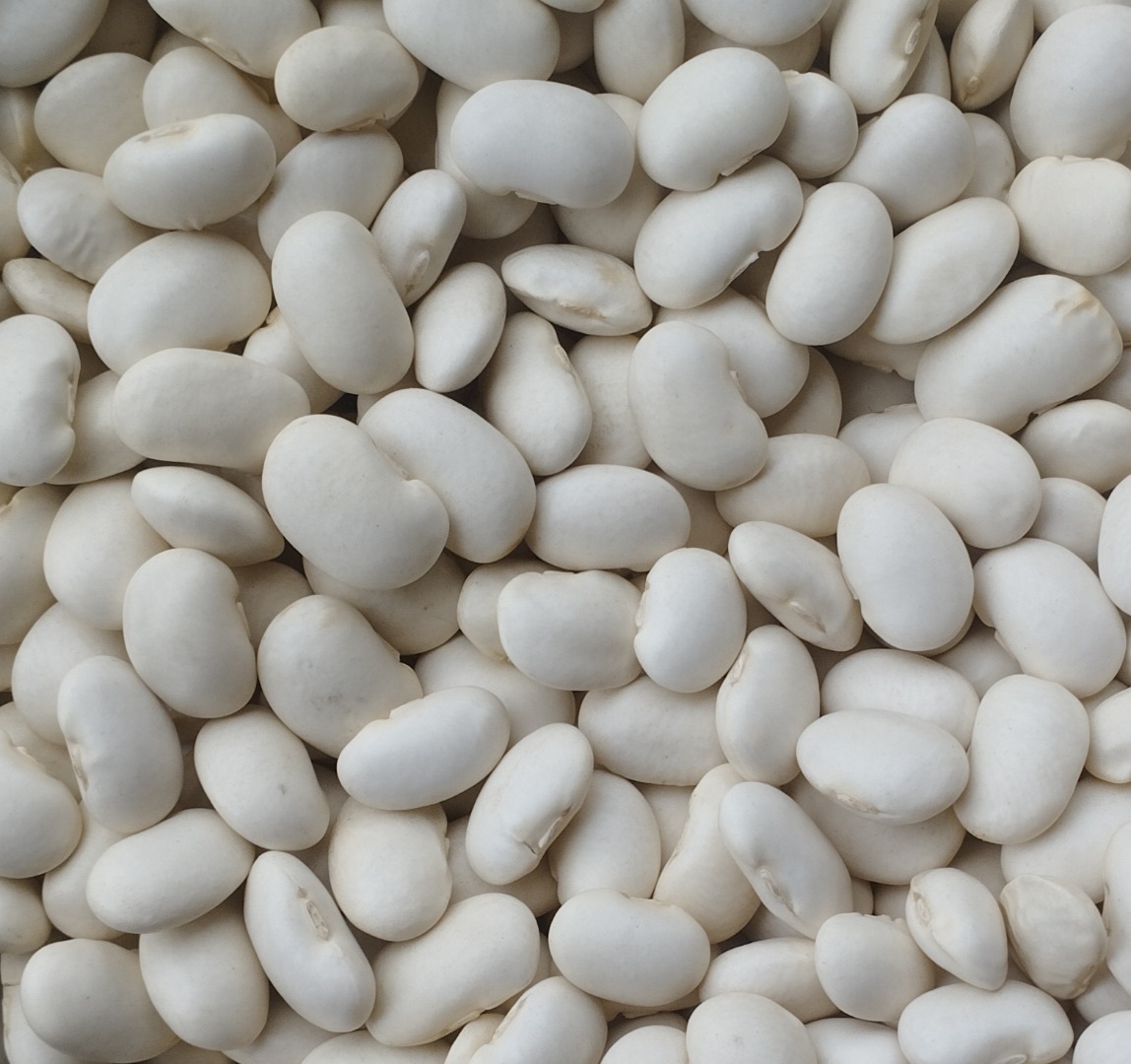 Hola, ofrecemos frijoles Jaś Karlowy en camiones completos o en cantidades menores