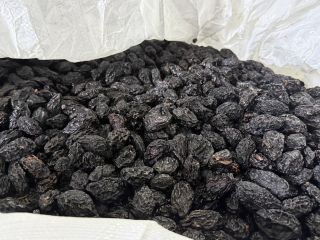 Ciruelas pasas Stanley, producidas en Moldavia. Grandes, sin calibrar,