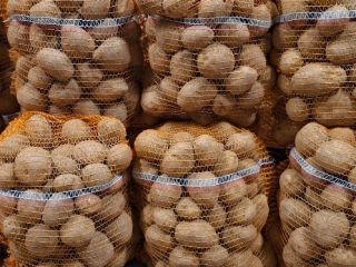 Vendo patatas comestibles Vineta de la finca. El precio