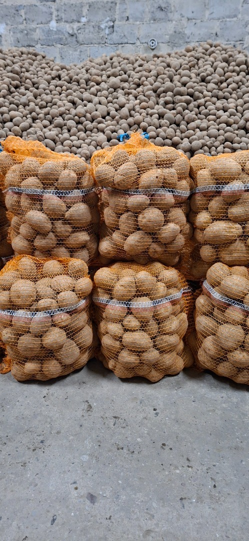Vendo patatas comestibles Vineta de la finca