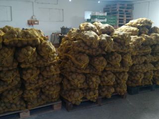 Venta de papas Gala, Belana y Vineta. Cantidades al