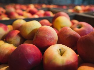 Manzanas Idared a la venta. Pietrari, Dâmbovița. Aproximadamente 5