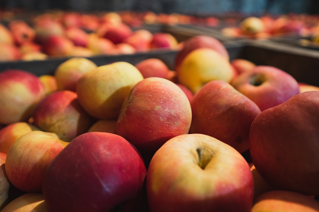 Manzanas Idared a la venta