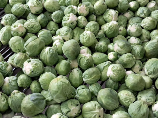 Venta de coles de Bruselas, producto sano y limpio,