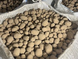 Vendo papas Vineta. Estas papas tienen certificación Clase A.