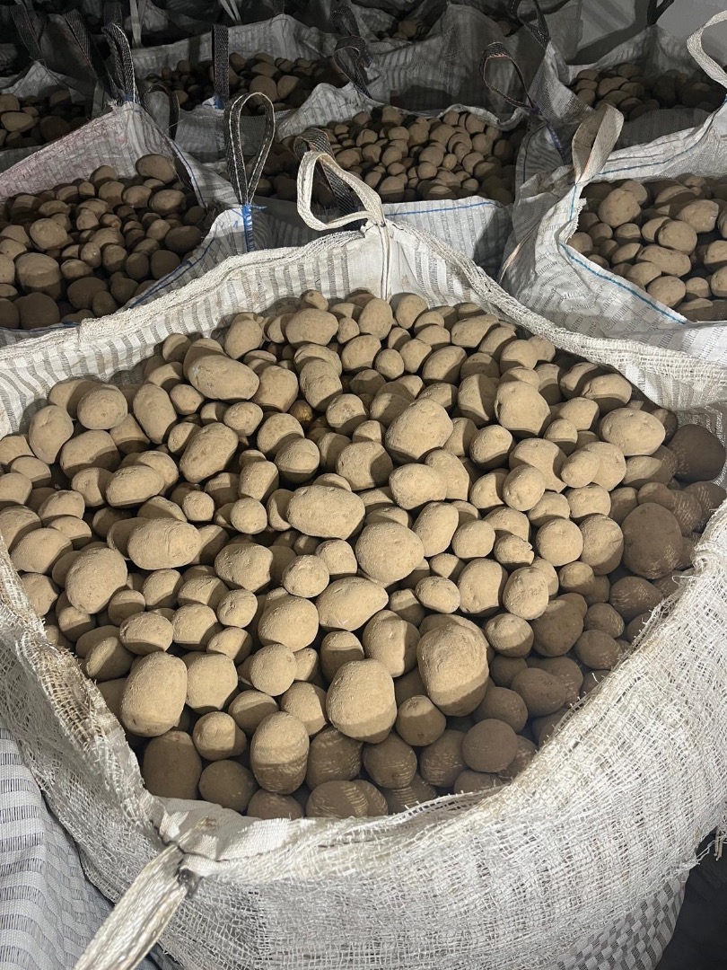 Vendo papas Vineta