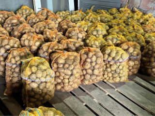 Papas orgánicas a la venta – variedad SORAYA. 50