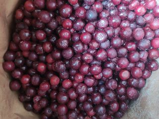 Vendo cerezas congeladas, bolsa de 25 kg.