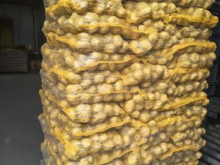 SE VENDEN - Papas con análisis fitosanitario disponibles. Cantidades