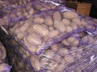 SE VENDEN - Papas con análisis fitosanitario disponibles. Cantidades