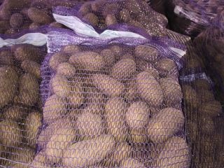 SE VENDEN - Papas con análisis fitosanitario disponibles. Cantidades