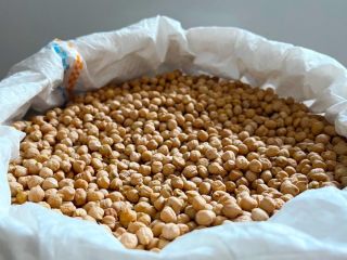 Ofrecemos garbanzos argentinos de calidad Sortex de 7 mm