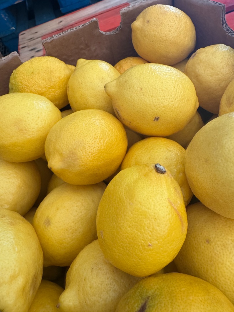 Compramos limones, naranjas Valencia, limas, pomelos STAR RUBI o RUBI RED, y piñas de segunda para zumo