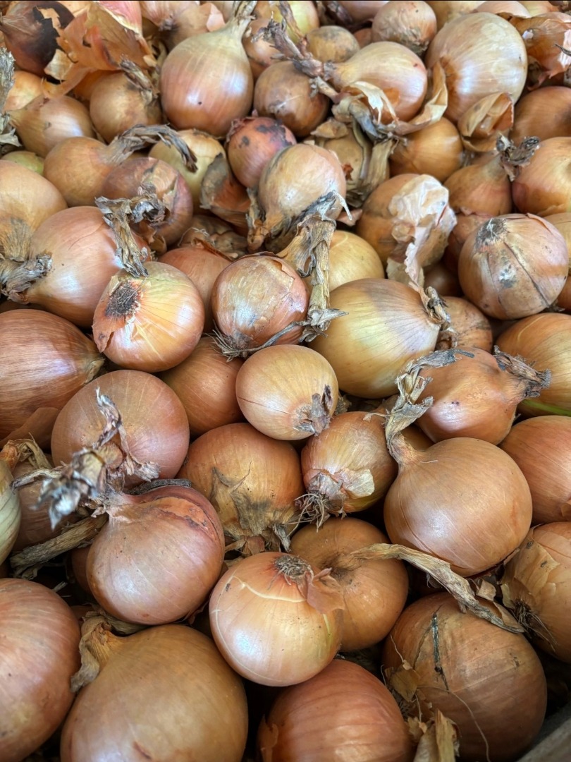 Busco comprar cebollas amarillas de Alemania o Austria