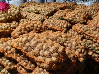 Papas rojas y blancas de consumo en venta, en