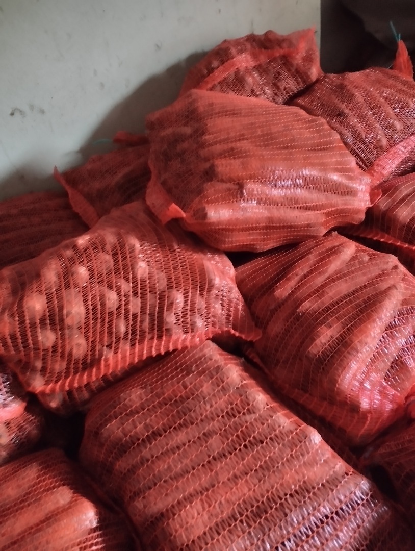 Hola, vendo zanahorias en bolsas, 10 PLN por bolsa, Łódź, zona de Ozorków, número de teléfono [teléfono]
