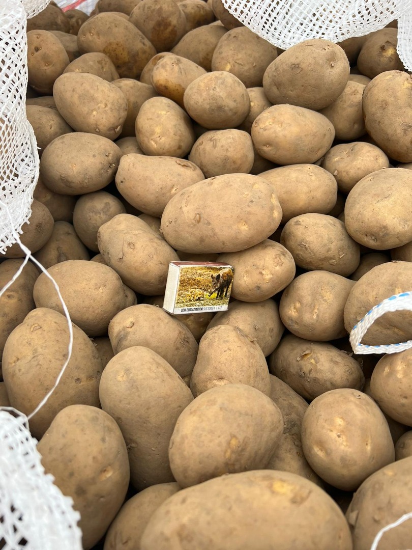 Papas amarillas a la venta, calibre [teléfono] y calibres 45+, 50+, 55+ y 70+