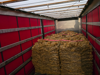 Papas Vinieta Envasadas en sacos de 10 o 15