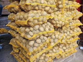 Patatas comestibles Soraya. Zanahorias, perejil, remolacha. Patatas comestibles Soraya