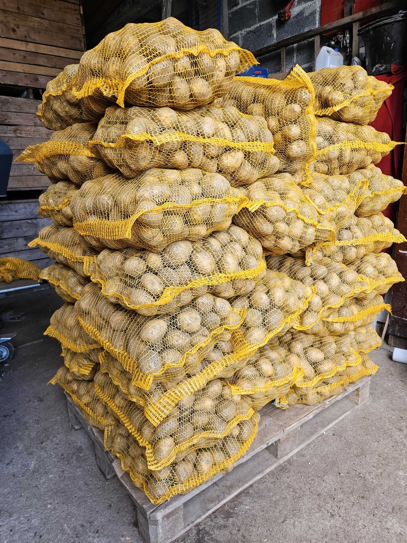 Patatas comestibles Soraya