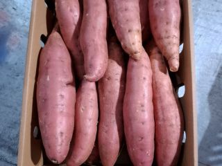 Disponible para exportación de batata de primera calidad. Cargas