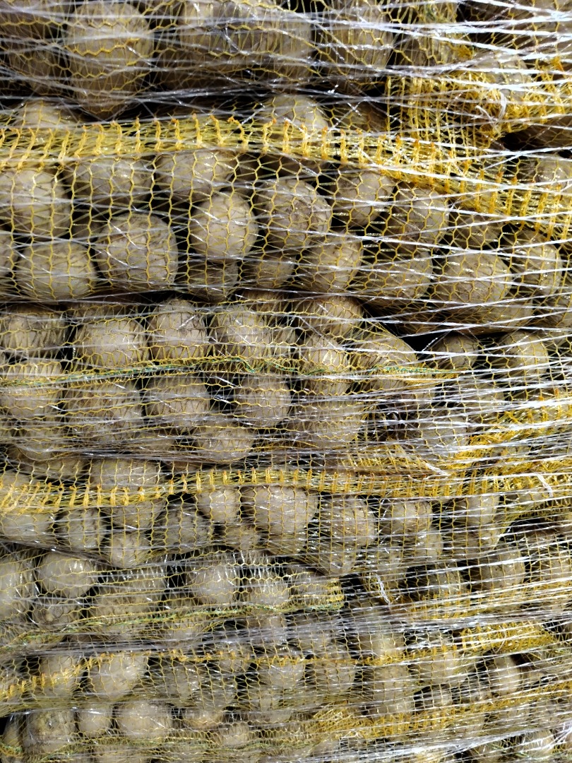 Papas GALA de tierra clara, cepilladas en bolsa cosida