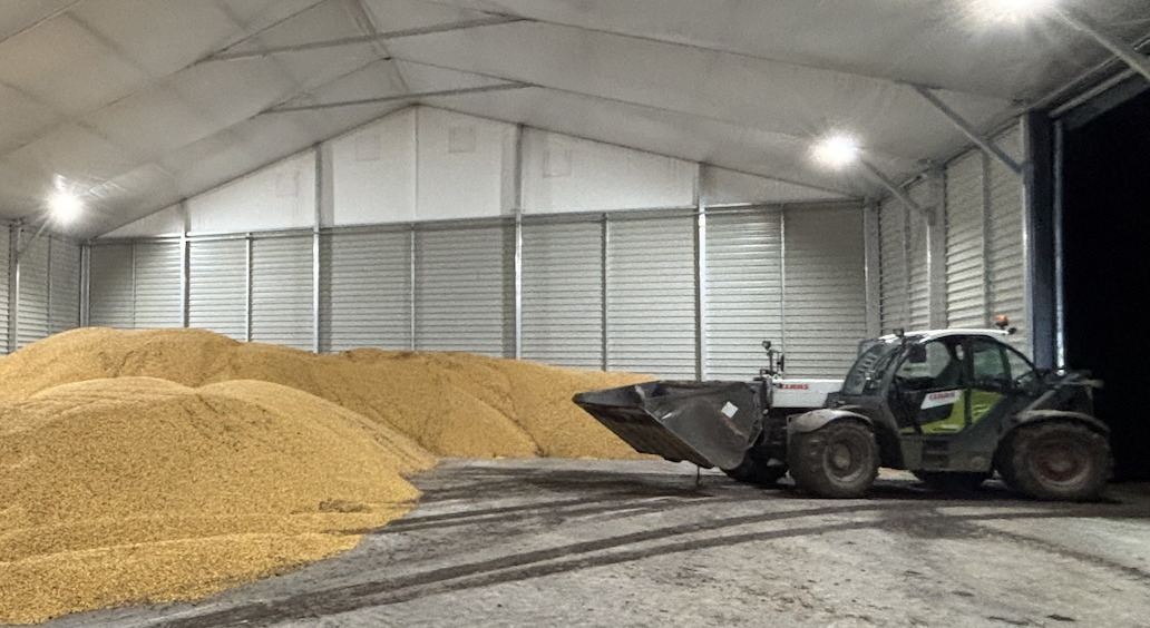 Buenos días, tengo 3.000 toneladas de maíz disponibles de inmediato, precio negociable, transporte posible, precio negociable