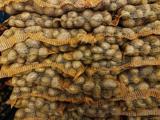 Soraya. Papas amarillas a la venta, más de 50