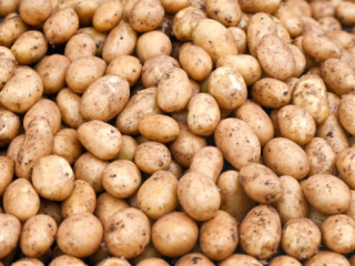 Papas frescas envasadas en Big Bax o a pedido.