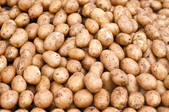 Papas frescas envasadas en Big Bax o a pedido