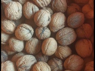 Nueces enteras a la venta, procedentes de Polonia (región